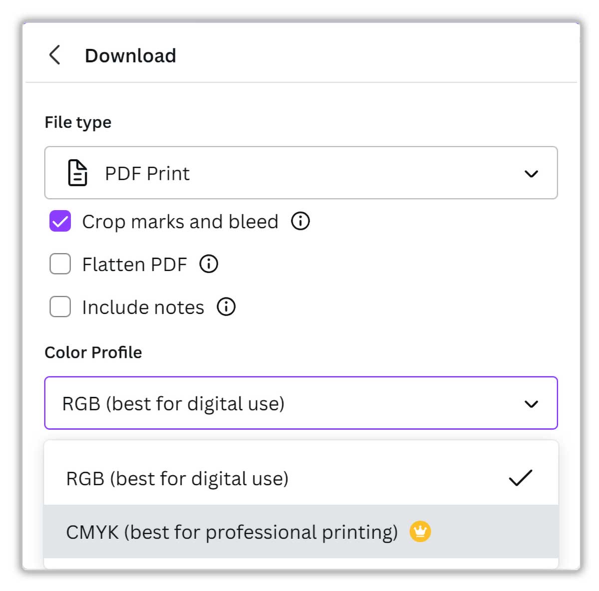 Canva menu dropdown settings