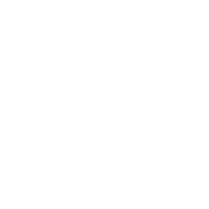 Delivery Van Icon